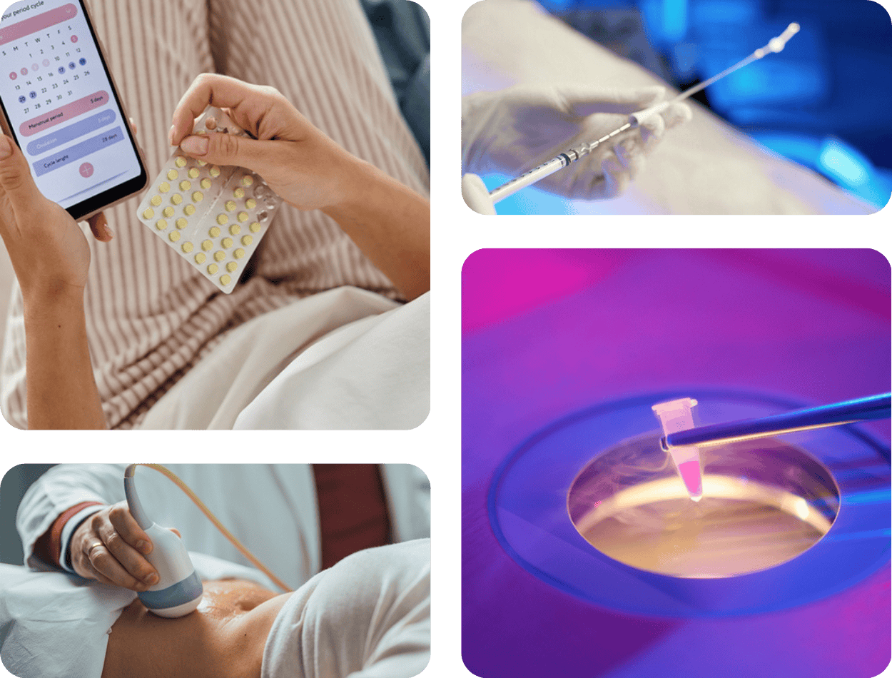 Frozen Embryo Transfer process showing cycle tracking, ultrasound monitoring, embryo thawing, and catheter transfer