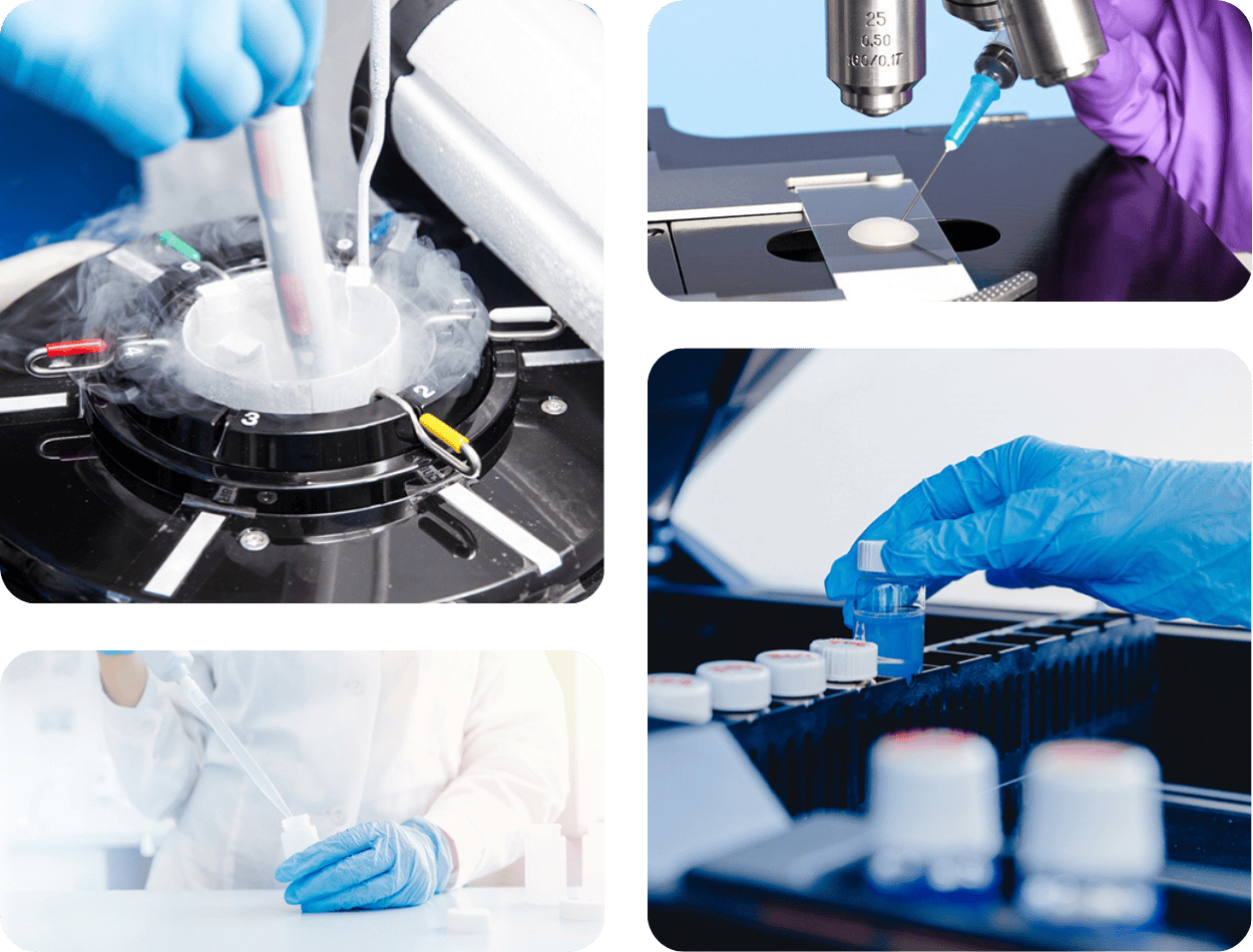 Sperm freezing process showing cryopreservation, laboratory semen analysis, and sample storage