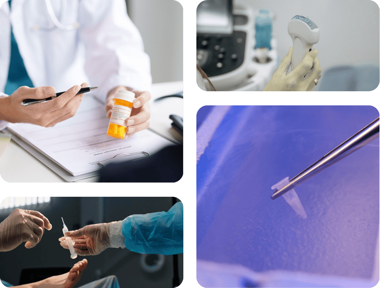Fertility specialist reviewing medication and patient medical history