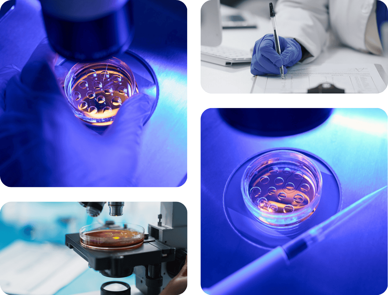 PGT process showing embryo biopsy under blue light, sample analysis, and laboratory review