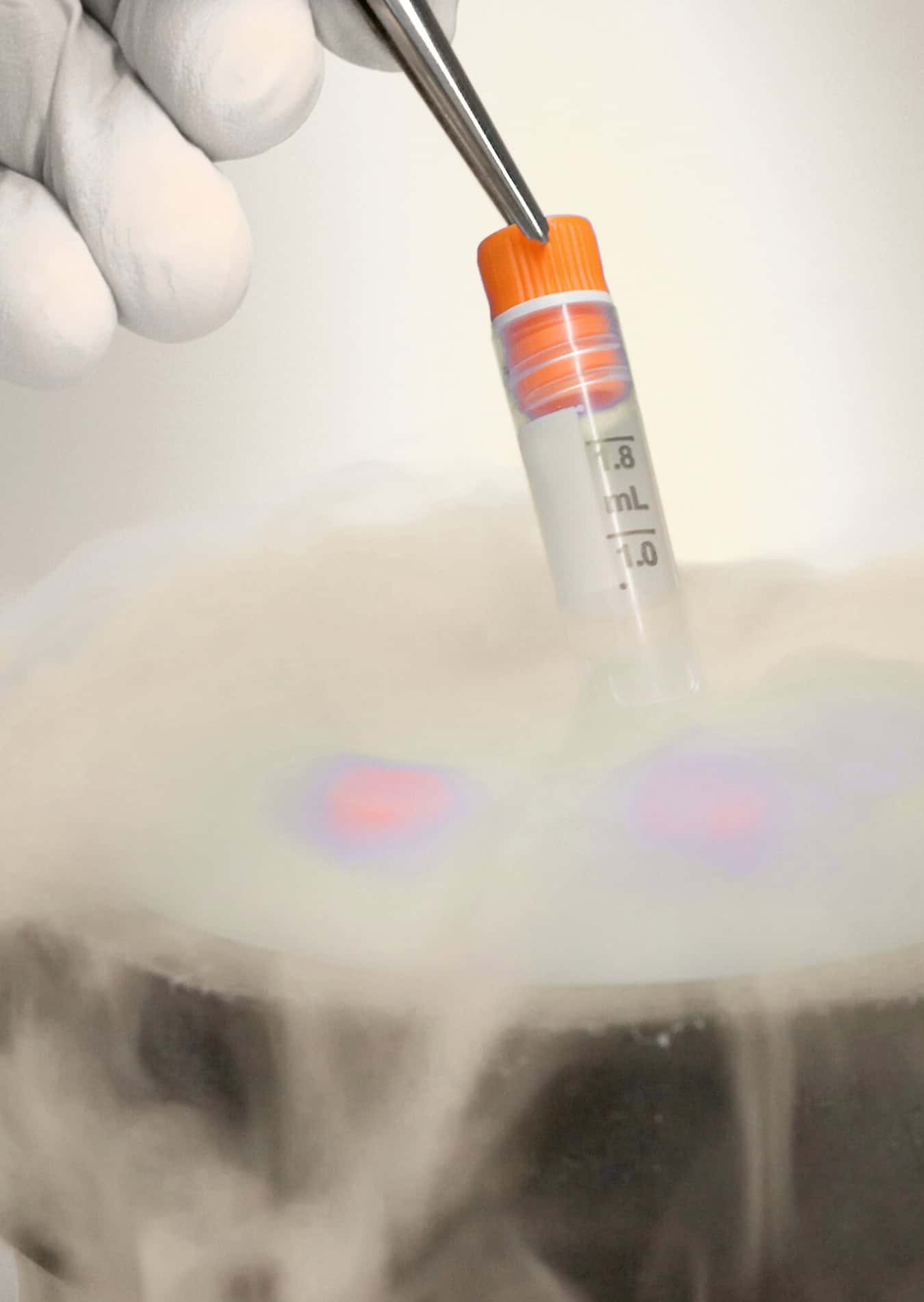 Cryopreservation vial being stored in liquid nitrogen for egg or embryo freezing